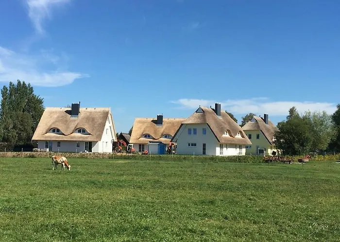 Reetdachhaeuser Boergerende